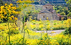 Lefkara church through yellow flowers,cyprus