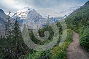 Lefroy Peak in Canadian Rockies lit by a sunlight on otherwise cloudy day. Mt.Lefroy viewed from the Plain of Six Glaciers trail,