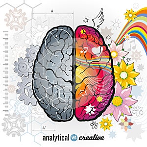 Left analytical and right creativity brain