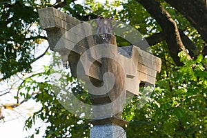 A left angle shot of an old, bird shaped, outdoor, cement lighting post, with a wide wing span, located in a Thai public park.