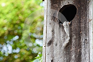 Left behind calling card