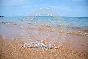 Left behind plastic bag garbage on sandy beach. Empty used dirty litter on sea shore. Environmental pollution