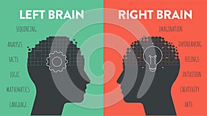 Left Brain vs. Right Brain Dominance infographic template. How the human brain works theory. Creative people right-brained and