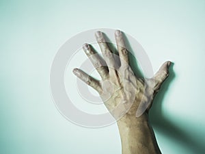 left hand with blood vessel from man worker put on white background with shadow (idea for halloween concept)