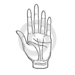 The left hand of a man with lines. Vector illustration in vintage style, black and white, hand drawn.