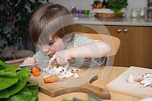 Left-Handed Boy Cutting Carrot on a Wooden Board Very Carefully in the Kitchen