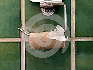 left over toilet paper roll on the hanger  and green tile wall