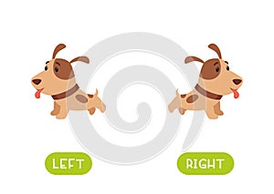 LEFT and RIGHT antonyms word card vector template. Flashcard for english language learning.