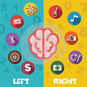 Left and right brain