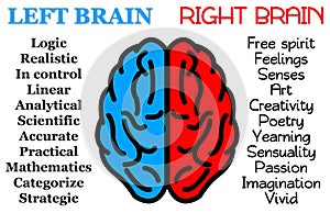 Left right brain