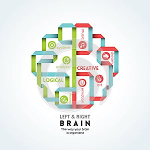 Left and right brain function illustration