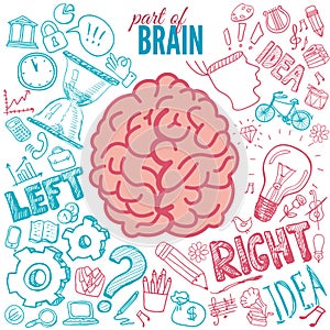 Left and right brain functions