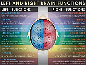 Left and right brain functions photo