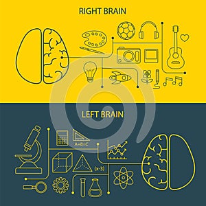 Left and right brain functions concept