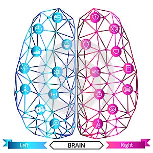 Left and right brain functions concept