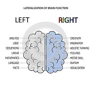 Left and right brain functions info.