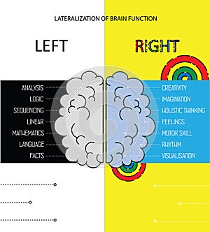 Left and right brain functions info. photo