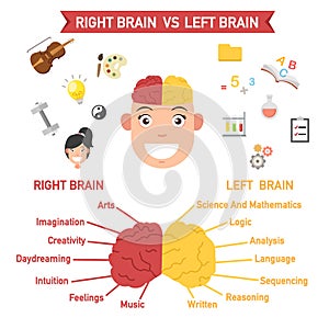 Left and right brain functions,vector