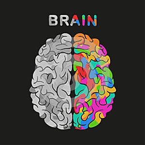 Left and right brain hemisphere. Vector concept illustration.