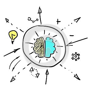 Left and right brain hemispheres photo