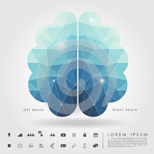 Left and right brain polygon with business icon
