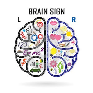 Left and right brain symbol,creativity sign,busine photo