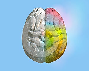 Left and right colorful brain illustration on blue BG