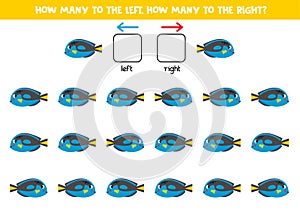 Left or right with cute powder blue tang. Logical worksheet for preschoolers