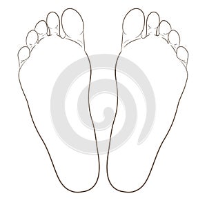 Left and right foot soles contour illustration