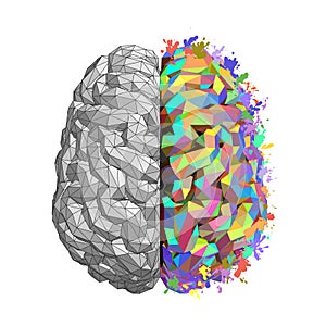 Left and Right Hemisphere of Human Brain Concept, Logical Thought of Left Hemisphere and Imagination of Right One