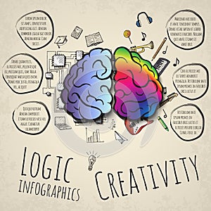 The left and right hemispheres of the brain.