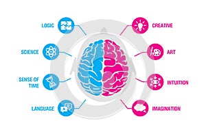 Left and right human brain concept. Logic and creative hemispheres infographics with brain and icons of science, time photo