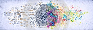 Left right human brain concept, textured illustration. Creative left and right part of human brain, emotial and logic photo