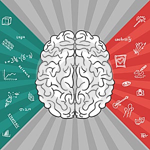 Left and right parts of brain