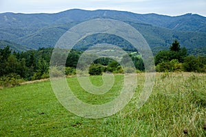 On the left side meadow used like pasture, on the right side is mountain meadow, in the background are mountains, Slovakia