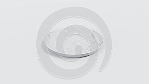 Left Side View 3D Render White Marble Plate 30cm with White Background