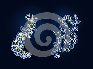 Left: Structure of the amyloid beta peptide bound to the cell me photo