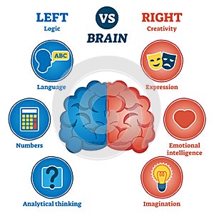 Left versus right brain traits diagram
