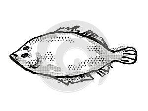 Lefteye Flounder Australian Fish Cartoon Retro Drawing