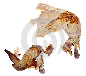 Leftover Roasted Chicken