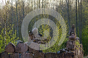 Leftovers of stone block building in summer green meadow