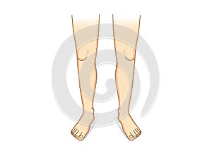 Leg vector in front view.