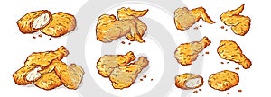 Leg wings and nuggets Fried Chicken Isolated Set