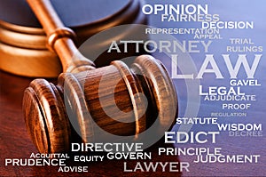 The Legal Profession