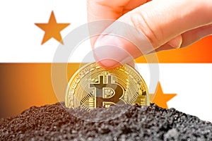 Legalization of bitcoin in Panama. Landing bitcoin in the ground against the background of the flag of Panama. Panama -