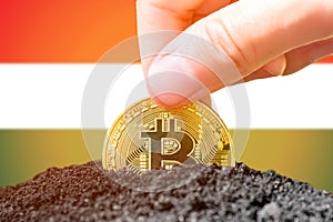 Legalization of bitcoins in Hungary. Planting Bitcoin in the ground on the background of the flag of Hungary. Hungary -