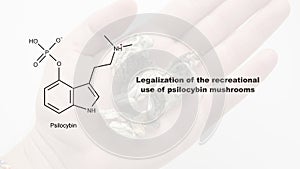 Legalization of the recreational use of psilocybin mushrooms, psilocybin and its effect on the human body photo