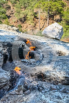 Legendary fire flames of Chimaera Mount