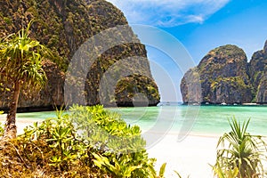 The legendary Maya Bay beach without people where the film \