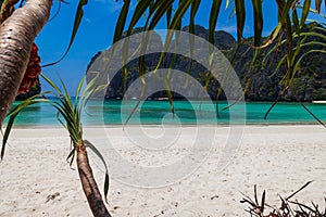 The legendary Maya Bay beach without people where film \